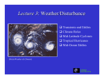 Lecture 3: Weather/Disturbance