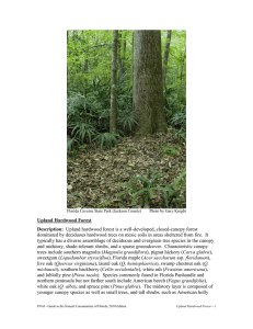 Upland Hardwood Forest and Upland Mixed Forest