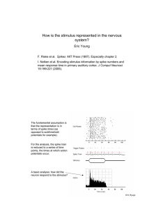 How is the stimulus represented in the nervous system?