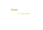 Joints