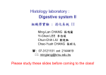 Histology laboratory : Digestive system II