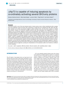 Np73 is capable of inducing apoptosis by co