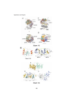 (Figure 1.3) (Figure 1.6)