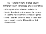 LO * Explain how alleles cause differences in