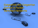 Network Congestion