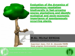 Evaluation of the dynamics of spontaneous vegetation biodiversity in