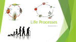 Life Processes