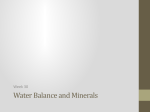 Water Balance and Minerals