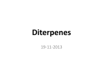 Diterpenes
