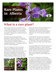 Rare Plants in Alberta - Alberta Native Plant Council