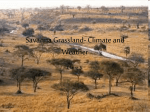 Savanna Grassland- Climate and Weather