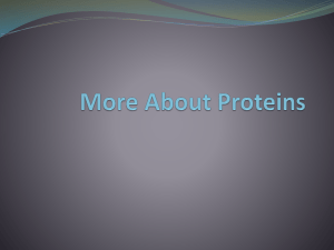 About Proteins