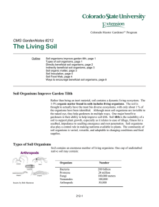 The Living Soil - Colorado State University Extension