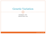 Population Genetics - elysciencecenter.com