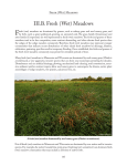 III.B. Fresh (Wet) Meadows - Minnesota Board of Water and Soil