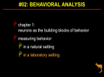 measuring behavior – variation