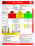Burns: Thermal