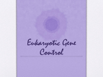 Eukaryotic Gene Control