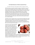 The Health Benefits of Pickled Umeboshi Plums