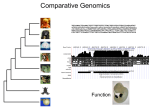 I. Comparing genome sequences