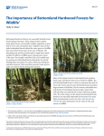 The Importance of Bottomland Hardwood Forests for Wildlife1