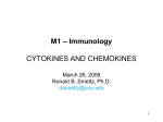 CYTOKINES AND CHEMOKINES March 27, 2008 Ronald B. Smeltz