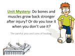Unit Mystery: Do bones and muscles grow back stronger after injury