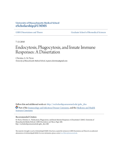Endocytosis, Phagocytosis, and Innate Immune Responses: A