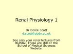 Renal Physiology 1