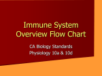 Immune System Introduction