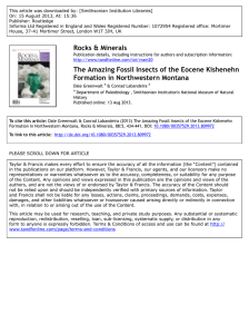 The Amazing Fossil Insects of the Eocene Kishenehn Formation in