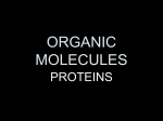 organic molecules