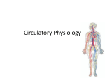 Circulatory Physiology - Kirchner-WHS