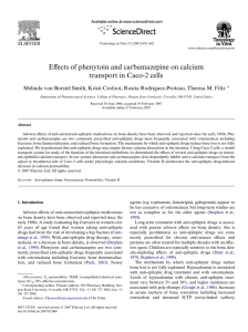 Effects of phenytoin and carbamazepine on calcium transport in