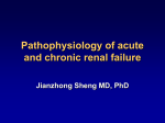 Pathophysiology of acute and chronic renal failure