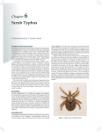 Scrub Typhus - The Association of Physicians of India