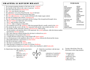 12Review Ch12 14 09answers