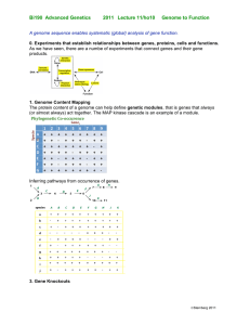 Bi190 Advanced Genetics 2011 Lecture 11/ho10 Genome to Function