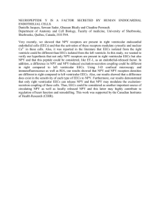 neuropeptide y is a factor secreted by human endocardial