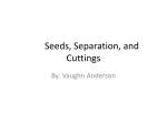 Seed Separation and Cuttings