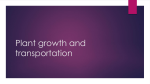 Plant growth - WordPress.com
