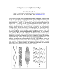 New Hypotheses on the Hydration of Collagen