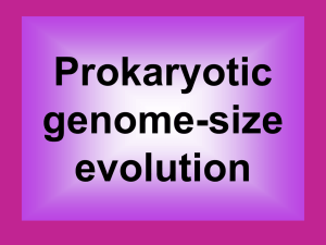 Prokaryotic genome-size evolution Range of C values in prokaryotes