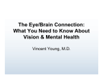 The Eye/Brain Connection: The Eye/Brain Connection