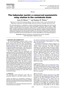 The habenular nuclei - Philosophical Transactions of the Royal