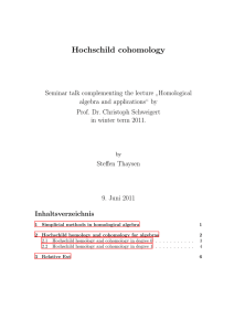 Hochschild cohomology