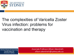 The complexities of Varicella Zoster Virus infection: problems for
