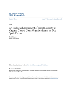 An Ecological Assessment of Insect Diversity at Organic Central