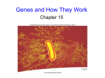 BIOL 1107 - Chapter 15