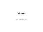 Viruses - robertschem